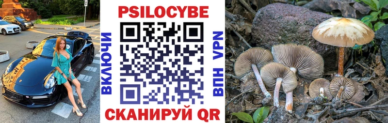 Галлюциногенные грибы ЛСД  Купить  Староминская 