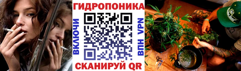 Купить где  Староминская  Бошки Шишки SATIVA & INDICA 